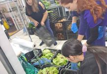 USS junto a FOSIS fortalecen la seguridad alimentaria de familias de Hualpén USS junto a FOSIS fortalecen la seguridad alimentaria de familias de Hualpén