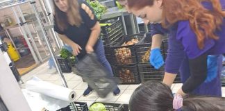USS junto a FOSIS fortalecen la seguridad alimentaria de familias de Hualpén USS junto a FOSIS fortalecen la seguridad alimentaria de familias de Hualpén