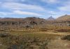 Desarrollan proyectos para la conservación de anfibios en el Alto Maule Titulados de arquitectura de la UTalca realizaron dos intervenciones complementarias en el Valle Los Cóndores, ubicado en la cordillera de la Región del Maule, que buscan proteger el hábitat del sapito espinoso frente a las amenazas que enfrenta este ecosistema.