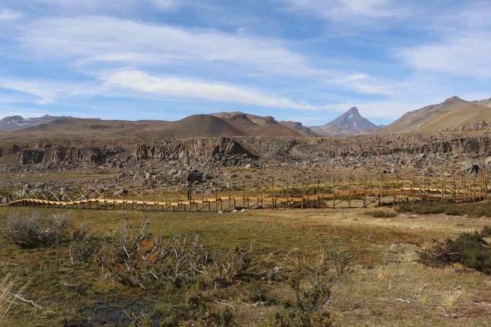 UTalca conservación de anfibios en el Alto Maule Titulados de arquitectura de la UTalca realizaron dos intervenciones complementarias en el Valle Los Cóndores, ubicado en la cordillera de la Región del Maule, que buscan proteger el hábitat del sapito espinoso frente a las amenazas que enfrenta este ecosistema.