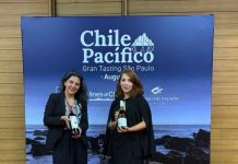 Viña chilena refuerza su presencia en Brasil con enoturismo a medida