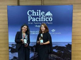 Viña chilena refuerza su presencia en Brasil con enoturismo a medida