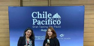 Viña chilena refuerza su presencia en Brasil con enoturismo a medida Viña chilena refuerza su presencia en Brasil con enoturismo a medida