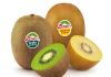 Zespri demanda al gobierno de EE. UU. para recuperar millones de dólares en aranceles declarados ilegales Zespri demanda al gobierno de EE. UU. para recuperar millones de dólares en aranceles declarados ilegales