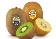Zespri demanda al gobierno de EE. UU. para recuperar millones de dólares en aranceles declarados ilegales Zespri demanda al gobierno de EE. UU. para recuperar millones de dólares en aranceles declarados ilegales