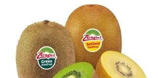 Zespri demanda al gobierno de EE. UU. para recuperar millones de dólares en aranceles declarados ilegales Zespri demanda al gobierno de EE. UU. para recuperar millones de dólares en aranceles declarados ilegales