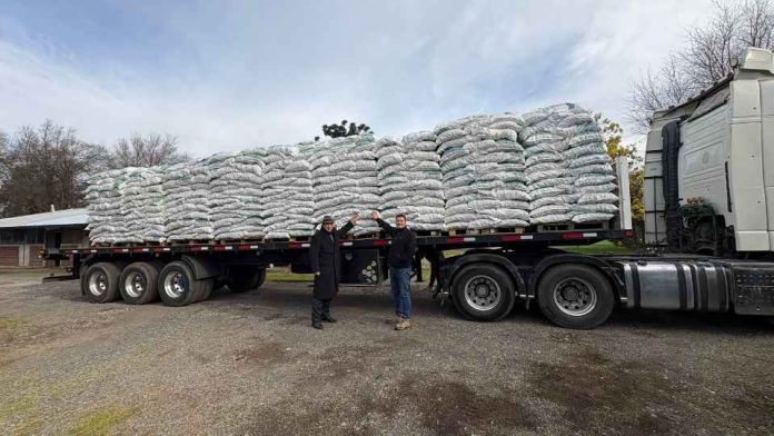 Llega primera ayuda de alimentación animal para productores afectados por frentes climáticos en la Región de Ñuble El despliegue mandatado por el Delegado Presidencial Regional, Diego Sepúlveda, contempla apoyo a agricultores no INDAP. Autoridades hicieron un llamado a acercarse a los municipios para la aplicación de la Ficha de Afectación Silvoagropecuaria (FAS). Chillán, 14 de agosto de 2026. Con la recepción del primer camión con alimentación para ganado, el Ministerio de Agricultura entrega un respaldo concreto a las familias campesinas que sufrieron afectación en sus predios, enfocando en esta oportunidad en productores silvoagropecuarios que no forman parte de los programas habituales de INDAP. El Seremi de Agricultura de Ñuble, Juan Luis Enríquez, destacó el compromiso permanente del Gobierno del Presidente José Antonio Kast con el territorio y detalló el procedimiento para acceder al beneficio, “como Ministerio de Agricultura estamos preocupados de todos los agricultores de la Región de Ñuble. Actualmente INDAP está apoyando a sus usuarios mediante sus propios instrumentos, y nosotros nos estamos enfocando en aquellos productores que no son usuarios de dicho servicio. Ya acaba de llegar el primer camión con alimentos para ir en su ayuda directa”, afirmó la autoridad regional. Asimismo, el Seremi realizó un llamado urgente a las comunidades rurales, “los productores que no son usuarios de INDAP deben acudir a los equipos de Fomento Productivo o Prodesal de sus respectivas municipalidades para solicitar la aplicación de la Ficha de Afectación Silvoagropecuaria, permitiéndonos como Ministerio acudir con celeridad en su auxilio”. El despliegue en terreno y el monitoreo constante de las variables meteorológicas ha sido respaldado de manera permanente por los servicios técnicos del agro. En ese sentido, el Director Regional de INIA Quilamapu, Rodrigo Avilés, valoró la coordinación permanente realizada desde el inicio de la contingencia, “conforme a los procedimientos que se llevan a cabo en el Ministerio de Agricultura, liderados por nuestro Seremi, desde el inicio de las situaciones climáticas del pasado 14 de julio INIA ha generado reportes diarios para apoyar la toma de decisiones y entregar información oportuna. Hoy estamos acompañando la recepción de esta alimentación animal que va en ayuda directa de los afectados”, indicó Avilés. Por su parte, desde la Unidad de Gestión de Riesgos y Desastres Agrícolas (UGRA) del Ministerio de Agricultura, su jefe nacional, Oscar Bustamante, enfatizó el sentido de presencia estatal y territorial de esta medida, “cuando el campo enfrenta una emergencia, el Estado responde. Esta entrega de cubos de alfalfa permite apoyar directamente a los productores de la Región de Ñuble afectados por las lluvias, incluyendo a quienes no son usuarios de INDAP. Estamos en terreno acompañando a las familias y trabajando intensamente para que la ayuda llegue donde más se necesita”, concluyó. El Ministerio de Agricultura y sus servicios dependientes continuarán el levantamiento de información junto a los municipios de las tres provincias de la región trabajando por la recuperación de la capacidad productiva agrícola de las 21 comunas de Ñuble. Llega primera ayuda de alimentación animal para productores afectados por frentes climáticos en la Región de Ñuble El despliegue mandatado por el Delegado Presidencial Regional, Diego Sepúlveda, contempla apoyo a agricultores no INDAP. Autoridades hicieron un llamado a acercarse a los municipios para la aplicación de la Ficha de Afectación Silvoagropecuaria (FAS). Chillán, 14 de agosto de 2026. Con la recepción del primer camión con alimentación para ganado, el Ministerio de Agricultura entrega un respaldo concreto a las familias campesinas que sufrieron afectación en sus predios, enfocando en esta oportunidad en productores silvoagropecuarios que no forman parte de los programas habituales de INDAP. El Seremi de Agricultura de Ñuble, Juan Luis Enríquez, destacó el compromiso permanente del Gobierno del Presidente José Antonio Kast con el territorio y detalló el procedimiento para acceder al beneficio, “como Ministerio de Agricultura estamos preocupados de todos los agricultores de la Región de Ñuble. Actualmente INDAP está apoyando a sus usuarios mediante sus propios instrumentos, y nosotros nos estamos enfocando en aquellos productores que no son usuarios de dicho servicio. Ya acaba de llegar el primer camión con alimentos para ir en su ayuda directa”, afirmó la autoridad regional. Asimismo, el Seremi realizó un llamado urgente a las comunidades rurales, “los productores que no son usuarios de INDAP deben acudir a los equipos de Fomento Productivo o Prodesal de sus respectivas municipalidades para solicitar la aplicación de la Ficha de Afectación Silvoagropecuaria, permitiéndonos como Ministerio acudir con celeridad en su auxilio”. El despliegue en terreno y el monitoreo constante de las variables meteorológicas ha sido respaldado de manera permanente por los servicios técnicos del agro. En ese sentido, el Director Regional de INIA Quilamapu, Rodrigo Avilés, valoró la coordinación permanente realizada desde el inicio de la contingencia, “conforme a los procedimientos que se llevan a cabo en el Ministerio de Agricultura, liderados por nuestro Seremi, desde el inicio de las situaciones climáticas del pasado 14 de julio INIA ha generado reportes diarios para apoyar la toma de decisiones y entregar información oportuna. Hoy estamos acompañando la recepción de esta alimentación animal que va en ayuda directa de los afectados”, indicó Avilés. Por su parte, desde la Unidad de Gestión de Riesgos y Desastres Agrícolas (UGRA) del Ministerio de Agricultura, su jefe nacional, Oscar Bustamante, enfatizó el sentido de presencia estatal y territorial de esta medida, “cuando el campo enfrenta una emergencia, el Estado responde. Esta entrega de cubos de alfalfa permite apoyar directamente a los productores de la Región de Ñuble afectados por las lluvias, incluyendo a quienes no son usuarios de INDAP. Estamos en terreno acompañando a las familias y trabajando intensamente para que la ayuda llegue donde más se necesita”, concluyó. El Ministerio de Agricultura y sus servicios dependientes continuarán el levantamiento de información junto a los municipios de las tres provincias de la región trabajando por la recuperación de la capacidad productiva agrícola de las 21 comunas de Ñuble.