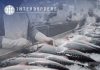 Interborders destaca la logística especializada detrás de las exportaciones de salmón chileno Interborders destaca la logística especializada detrás de las exportaciones de salmón chileno
