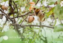 Interborders y el Boom de los Frutos Secos: desafíos en la logística internacional Interborders y el Boom de los exportadores de frutos secos: desafíos en la logística internacional