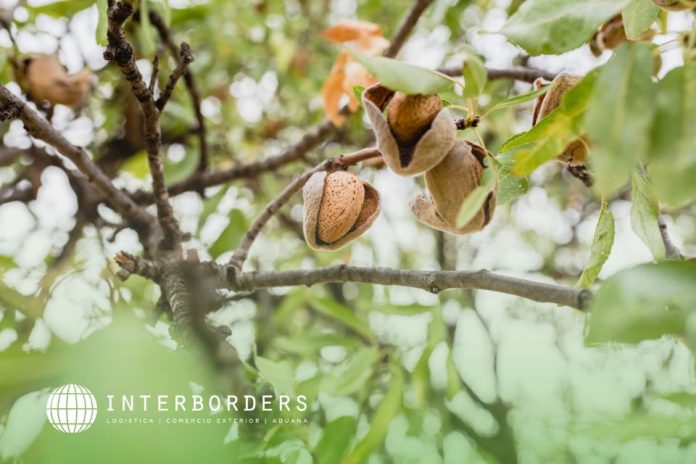 exportadores de frutos secos Interborders Logística internacional Interborders y el Boom de los exportadores de frutos secos: desafíos en la logística internacional