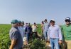 Reportaje | Estados Unidos: Compradores internacionales evalúan la oferta de papa semilla y Uruguay participa de una misión comercial Reportaje | Estados Unidos: Compradores internacionales evalúan la oferta de papa semilla y Uruguay participa de una misión comercial