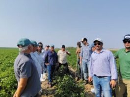 Reportaje | Estados Unidos: Compradores internacionales evalúan la oferta de papa semilla y Uruguay participa de una misión comercial Reportaje | Estados Unidos: Compradores internacionales evalúan la oferta de papa semilla y Uruguay participa de una misión comercial