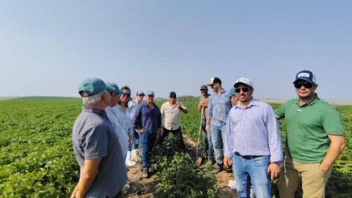 1788532922_big Reportaje | Estados Unidos: Compradores internacionales evalúan la oferta de papa semilla y Uruguay participa de una misión comercial