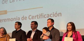 22 profesionales culminan Diplomado en Producción Apícola Sustentable impulsado por la UCT, CORFO y SOFO