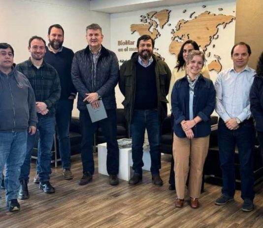 Agricultura regenerativa busca fortalecer la sostenibilidad de la cadena salmonera chilena Agricultura regenerativa busca fortalecer la sostenibilidad de la cadena salmonera chilena