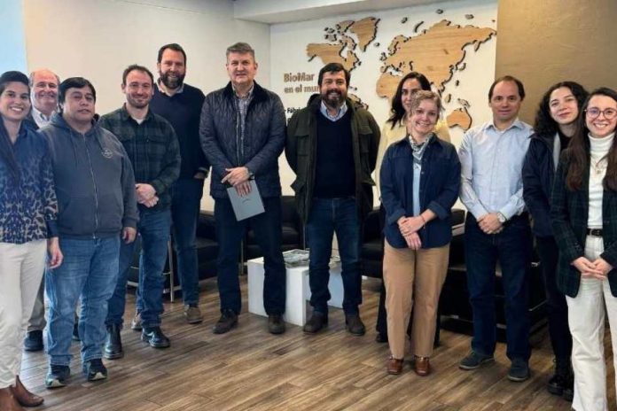 Agricultura regenerativa busca fortalecer la sostenibilidad de la cadena salmonera chilena Agricultura regenerativa busca fortalecer la sostenibilidad de la cadena salmonera chilena