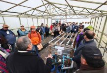 Agroimpacta Los Ríos reunirá expertos internacionales para impulsar la innovación agroalimentaria Agroimpacta Los Ríos reunirá expertos internacionales para impulsar la innovación agroalimentaria