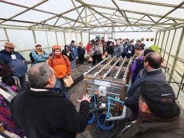 Agroimpacta Los Ríos reunirá expertos internacionales para impulsar la innovación agroalimentaria Agroimpacta Los Ríos reunirá expertos internacionales para impulsar la innovación agroalimentaria