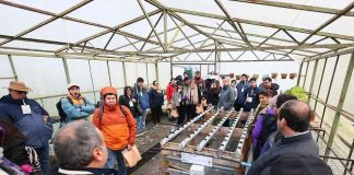 Agroimpacta Los Ríos reunirá expertos internacionales para impulsar la innovación agroalimentaria