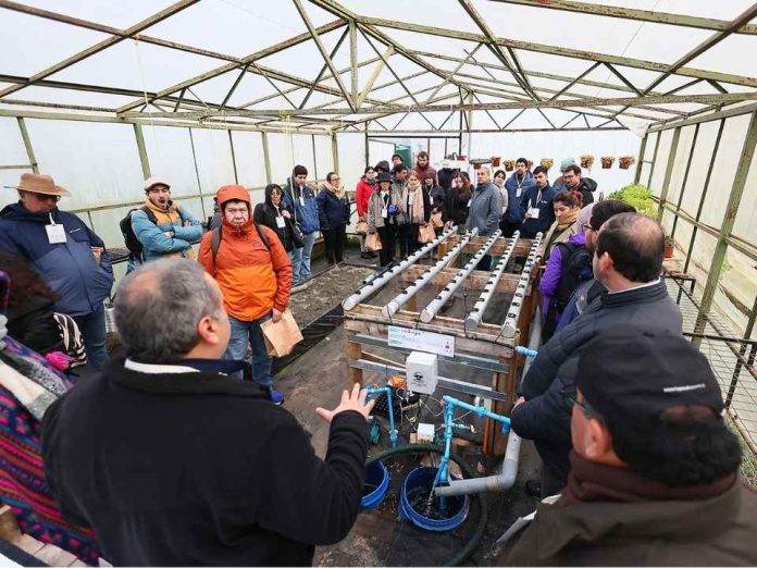 Agroimpacta Los Ríos reunirá expertos internacionales para impulsar la innovación agroalimentaria Agroimpacta Los Ríos reunirá expertos internacionales para impulsar la innovación agroalimentaria