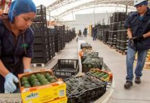 América Latina frena en 2026: el agro gana peso ante el menor crecimiento