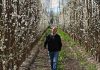 Argentina | No quería seguir produciendo peras, pero no sabía con qué reemplazarlas: un viaje a Italia le dio la respuesta y su negocio en la Patagonia cambió para siempre Argentina | No quería seguir produciendo peras, pero no sabía con qué reemplazarlas: un viaje a Italia le dio la respuesta y su negocio en la Patagonia cambió para siempre