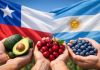 Chile y Argentina profundizan acuerdo comercial