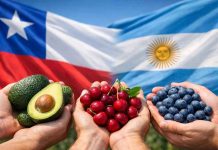 Chile y Argentina profundizan acuerdo comercial Chile y Argentina profundizan acuerdo comercial