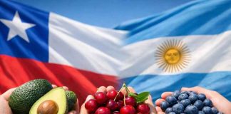 Chile y Argentina profundizan acuerdo comercial