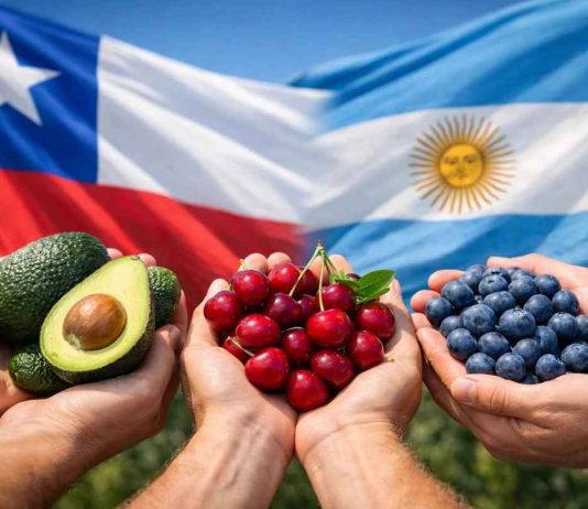 Chile y Argentina profundizan acuerdo comercial Chile y Argentina profundizan acuerdo comercial