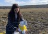 Argentina y Chile unen fuerzas contra una maleza invasora: las plantas con flores que ponen en riesgo a pastizales y ecosistemas en la Patagonia