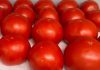 Australia | Los tomates obtienen un sabor mejorado del compost de los contenedores verdes. Australia | Los tomates obtienen un sabor mejorado del compost de los contenedores verdes.