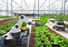 Bruselas sitúa la IA y la robótica entre sus prioridades para transformar el sector agroalimentario Bruselas sitúa la IA y la robótica entre sus prioridades para transformar el sector agroalimentario