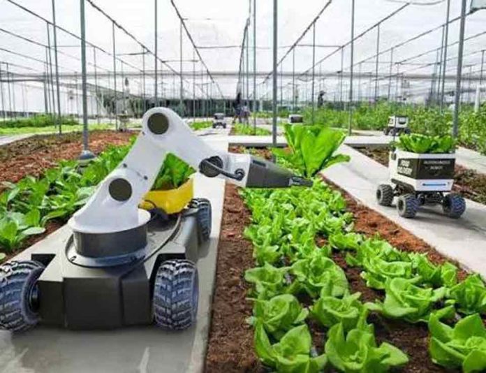 Bruselas sitúa la IA y la robótica entre sus prioridades para transformar el sector agroalimentario Bruselas sitúa la IA y la robótica entre sus prioridades para transformar el sector agroalimentario