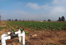 CNR abre concurso por $200 millones para mejorar la calidad de las aguas de riego en Atacama y Coquimbo CNR abre concurso por $200 millones para mejorar la calidad de las aguas de riego en Atacama y Coquimbo