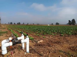 CNR abre concurso por $200 millones para mejorar la calidad de las aguas de riego en Atacama y Coquimbo CNR abre concurso por $200 millones para mejorar la calidad de las aguas de riego en Atacama y Coquimbo