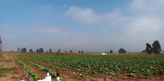 CNR abre concurso por $200 millones para mejorar la calidad de las aguas de riego en Atacama y Coquimbo CNR abre concurso por $200 millones para mejorar la calidad de las aguas de riego en Atacama y Coquimbo