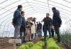 CNR inauguró proyecto de riego y entrega bonificaciones a pequeñas agricultoras de Mulchén por más de $116 millones (1)