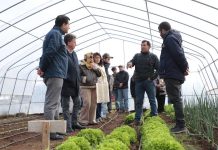 CNR inauguró proyecto de riego y entrega bonificaciones a pequeñas agricultoras de Mulchén por más de $116 millones (1)