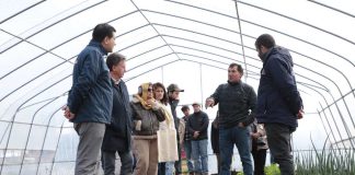 Noticia: CNR inauguró proyecto de riego y entrega bonificaciones a pequeñas agricultoras...