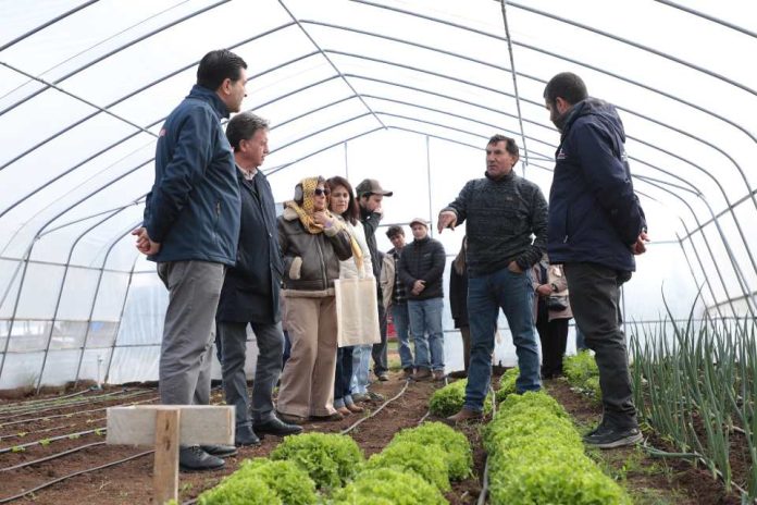 CNR inauguró proyecto de riego y entrega bonificaciones a pequeñas agricultoras de Mulchén por más de $116 millones (1) CNR inauguró proyecto de riego y entrega bonificaciones a pequeñas agricultoras de Mulchén por más de $116 millones (1)