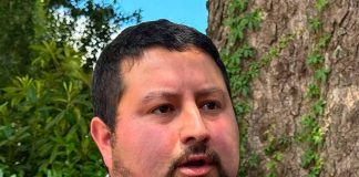 Noticia: Columna de opinión | La bencina sí, el trigo no