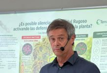 Reportaje | BACTERIOCITO: ¿FÁBRICA DE NUTRIENTES O CENTRO DE ADAPTACIÓN QUÍMICA? Carlos Meza, CEO Terragénesis
