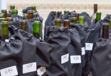 Carmenère al Mundo 2026 invita a mostrar distintas expresiones de la cepa Carmenère al Mundo 2026 invita a mostrar distintas expresiones de la cepa