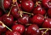¿Cerezas en peligro? Productores de Ñuble temen perder el 50% de sus cosechas o todo por las lluvias ¿Cerezas en peligro? Productores de Ñuble temen perder el 50% de sus cosechas o todo por las lluvias