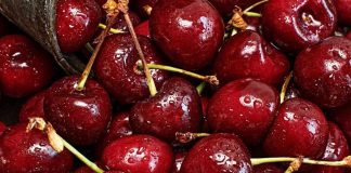 ¿Cerezas en peligro? Productores de Ñuble temen perder el 50% de sus cosechas o todo por las lluvias ¿Cerezas en peligro? Productores de Ñuble temen perder el 50% de sus cosechas o todo por las lluvias