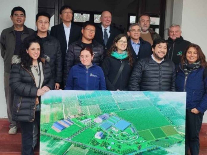 Chile y China avanzan en la instalación de una granja demostrativa para impulsar innovación y transferencia tecnológica agrícola Chile y China avanzan en la instalación de una granja demostrativa para impulsar innovación y transferencia tecnológica agrícola