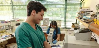 Ciencias Veterinarias UACh destacada a nivel mundial Ciencias Veterinarias UACh destacada a nivel mundial