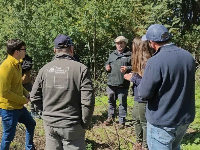 Comisión Nacional de Riego y Junta de Vigilancia del Río Ñuble avanzaron en búsqueda de soluciones para canales afectados por lluvias Comisión Nacional de Riego y Junta de Vigilancia del Río Ñuble avanzaron en búsqueda de soluciones para canales afectados por lluvias