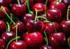 Comité de Cerezas de Frutas de Chile crea “Mesa Técnica” para potenciar calidad de la cereza nacional Comité de Cerezas de Frutas de Chile crea “Mesa Técnica” para potenciar calidad de la cereza nacional